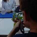 Estudiamos la raíz